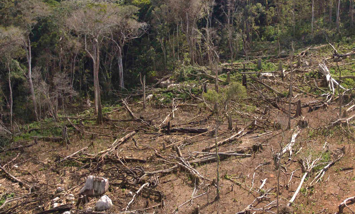 BIODIVERSITY OFFSETS